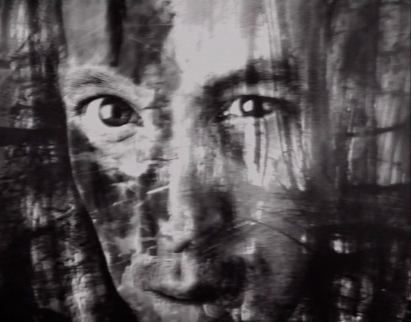 Dirk Braeckman ｜Portrait