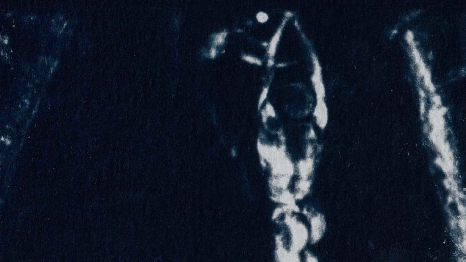 Cendre | The Ruins of this Dream