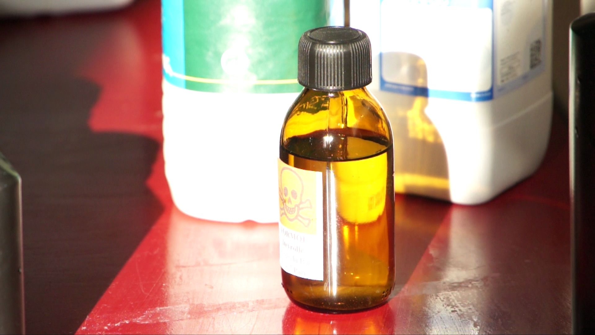 The Cyanotype by Odile Bernard Schröder