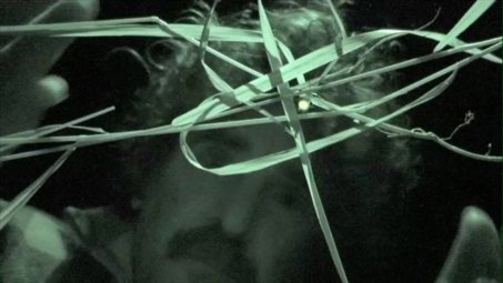 Michael Flomen: I did not want to photograph the event